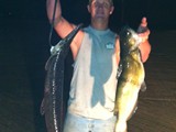 Nativ Bowfishing
Guide Service